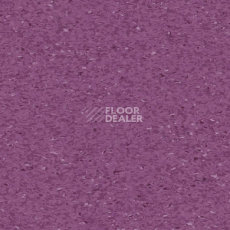 Линолеум Tarkett iQ Granit MEDIUM VIOLET 0451 фото 1 | FLOORDEALER